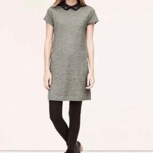 NWT LOFT Embellished Black Peter Pan Collared Knit Shift Dress in Gray Size L